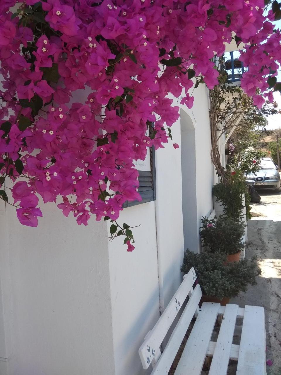 Chez Cecile
