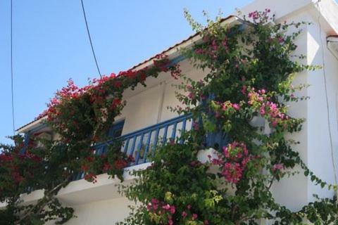 Chez Cecile Gasthof Mochlos
