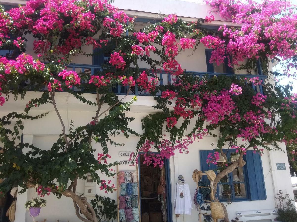 Gasthof Chez Cecile Mochlos